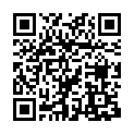 Singapore Genuine Tablet Charger for HTC FLYER P510E P510 P512E EADP-15ZB DELTA9V1.67A15W-HTC-US-W