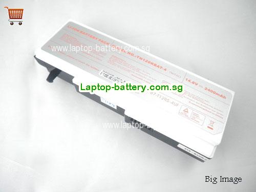 CLEVO TN120RBAT-4 Battery 2400mAh 14.8V Black and White Li-ion