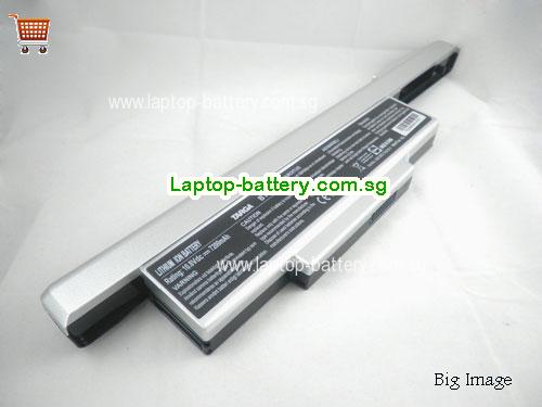 MSI BTY-M65 Battery 7200mAh 10.8V Silver Li-ion