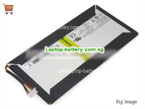OTHER EG20-1S10400-T1T2 Battery 10400mAh, 39.52Wh  3.8V Sliver Li-Polymer