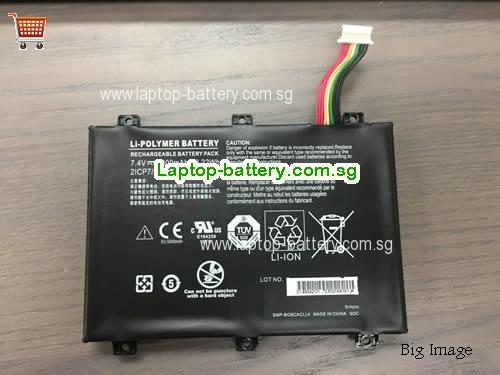XPLORE 21-93042-01 Battery 5300mAh, 39.22Wh 7.4V Black Li-Polymer