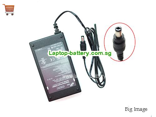 FSP 48V 1.36A Laptop AC Adapter